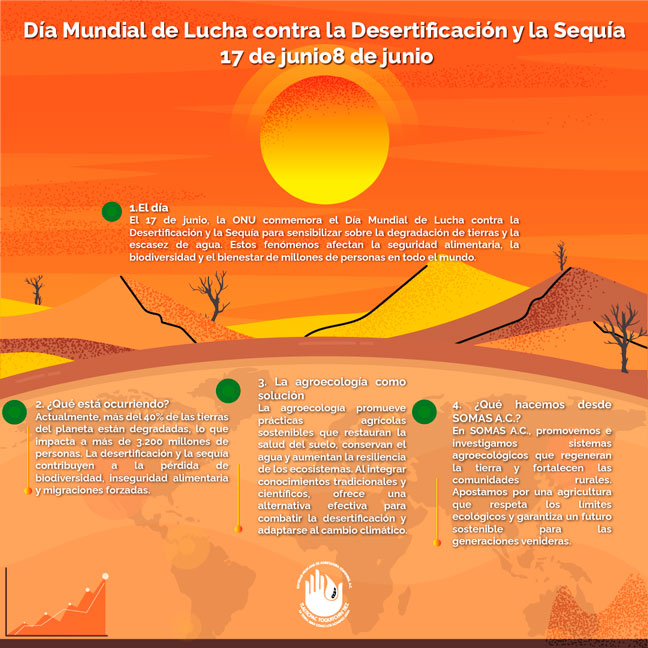 17 de junio Día Mundial de Lucha contra la Desertificación y la Sequía